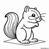 Chipmunk Coloring Page  Pagescom sketch template