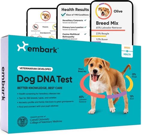 I Tried the Embark Vet Dog DNA Test on My Adopted Pup and Got ...