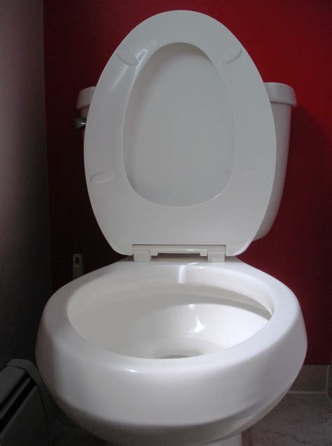 File:Toilet seat up.JPG