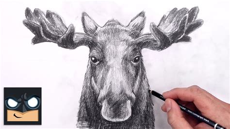 Moose Drawing