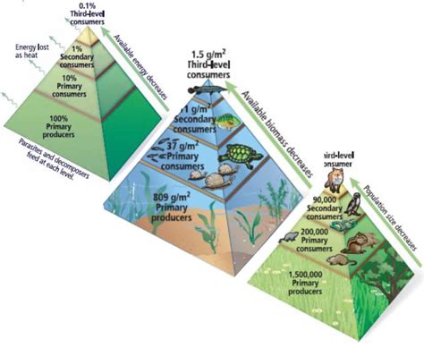 What Does An Energy Pyramid Show - Energy Etfs