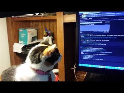 ANYA: Cursor Hunter : r/aww