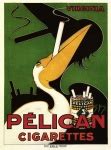 The Pelican Free Stock Photo - Public Domain Pictures