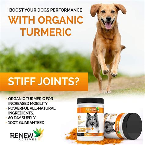 Organic Turmeric Joint Supplement for Dogs - 120 Soft Chews – Renew Actives