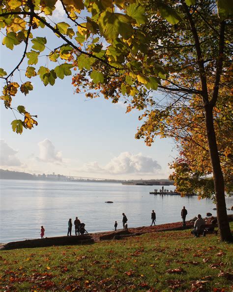 The Best Rainy Season Activities For Fall In Vancouver