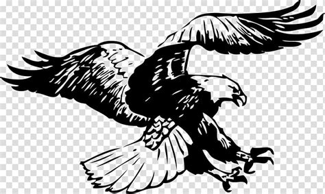 [View 29+] Eagle Logo Png Black And White