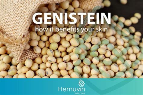 A focus on Genistein. What is it and what are the benefits for your ...