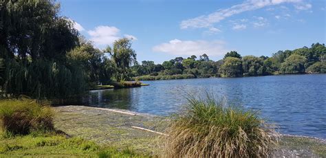 Western Springs. Well worth a visit. : r/auckland