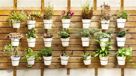 The Right Way To Store Fresh And Dried Herbs: Expert Tips - NDTV Food