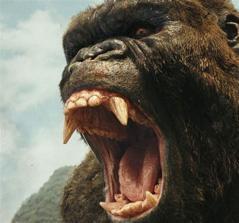 Whats your favourite king kong roar : r/Monsterverse