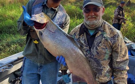 Some Chinook Are Still Around - Randy Bales