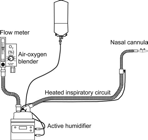 Nasal Catheter Oxygen Therapy