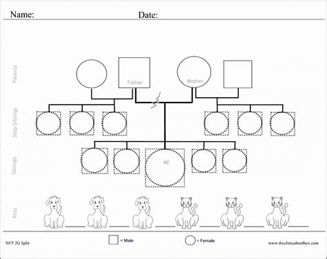 Downloadable Genogram Template | Free Resume Templates