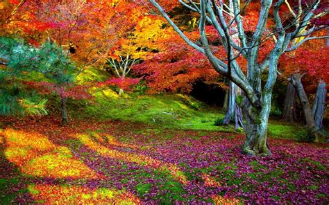 Colorful Landscape Wallpapers - Top Free Colorful Landscape Backgrounds - WallpaperAccess