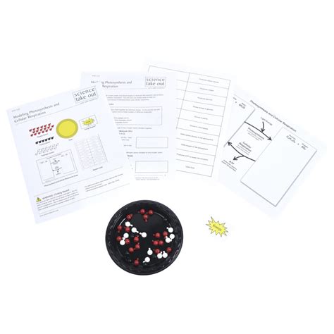 Cell Biology Lab Experiments | Science Take-Out | Hands-On Learning Kits