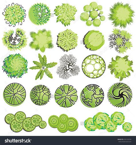 Bush clipart plan, Bush plan Transparent FREE for download on ...