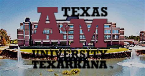 Texas A&M University-Texarkana MSN program achieves continuing accreditation by Commission on ...