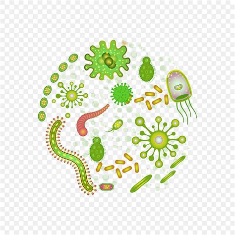 Biology PNG, Vector, PSD, and Clipart With Transparent Background for ...