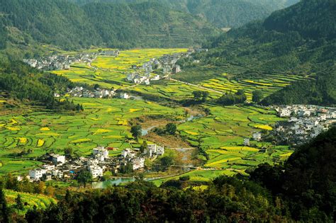 Wuyuan county | Tourist, Green mountain, Background