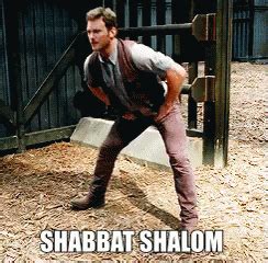 Shabbat Shalom Images GIFs | Tenor