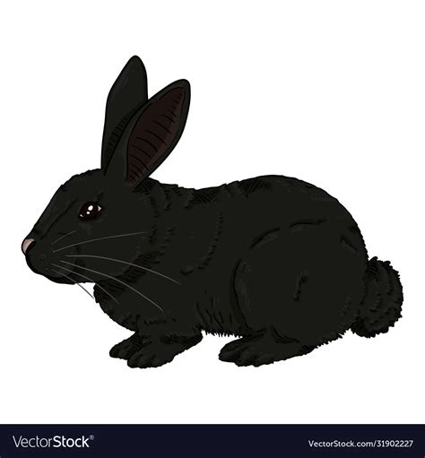 Cartoon black rabbit Royalty Free Vector Image