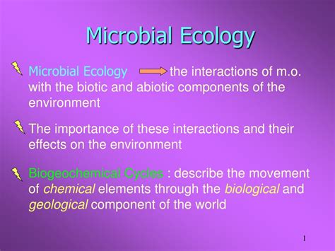 PPT - Microbial Ecology PowerPoint Presentation, free download - ID:9532438