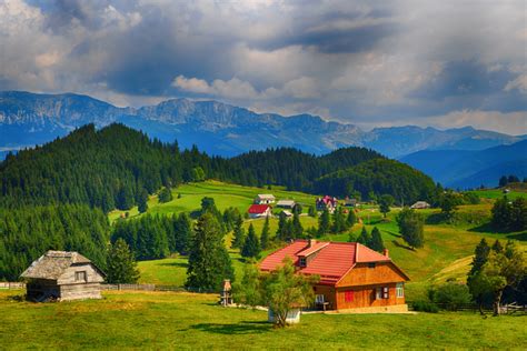 Carpathian Mountains Hiking | Carpathian Walking & Bear Watching