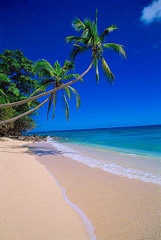 Kadavu Island, Fiji | Beautiful beach pictures, Beautiful locations nature, Beautiful beaches