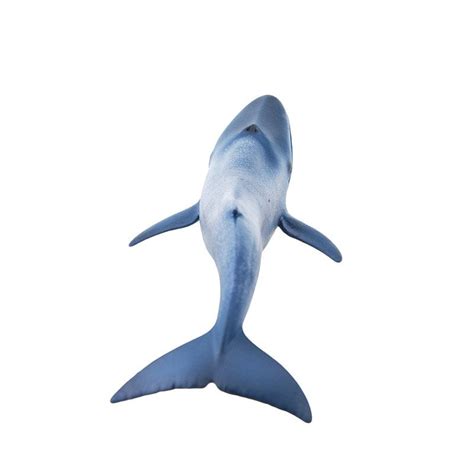 Schleich Blue Whale - Toys At Foys