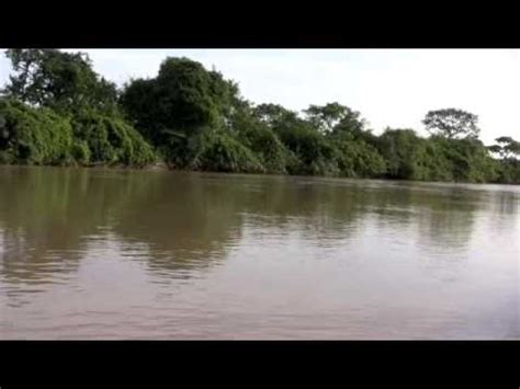 Venezuela Apure River - Los Llanos Safari - YouTube