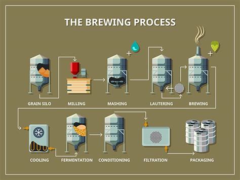 Brewery process infographic