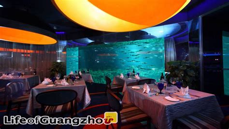 √ Ocean Park Hong Kong Restaurants