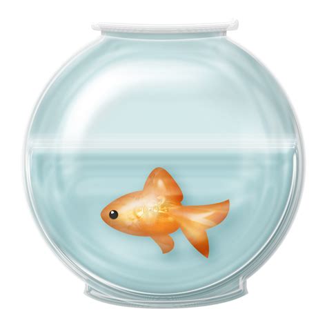 Goldfish Clip art - fish bowl png download - 900*900 - Free Transparent ...