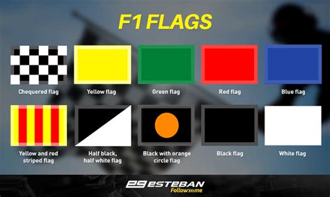 Do you know the meaning of every race flag?