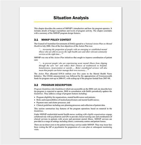 Situation Analysis Template - Free Samples & Examples (In Word, PDF)