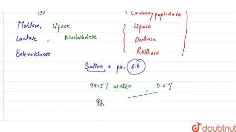 Ptyalin is an enzyme of - YouTube