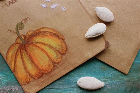 Magic Pumpkin Seeds…