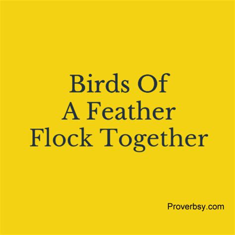 Birds Of A Feather Flock Together | Proverbsy