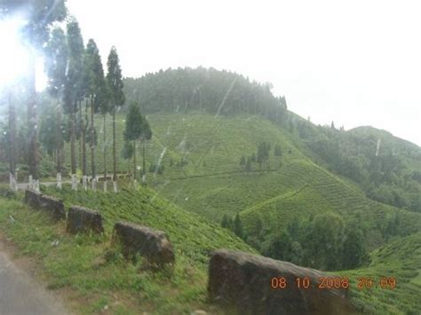 Darjeeling Photos - Featured Images of Darjeeling, Darjeeling District ...