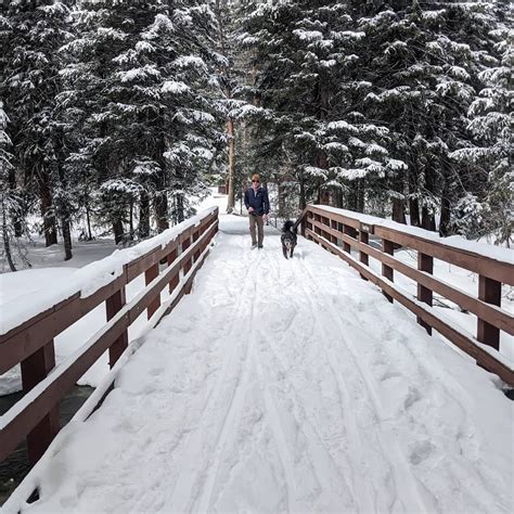 Best Short + Easy Day Hikes Near Winter Park, Colorado - The Trek