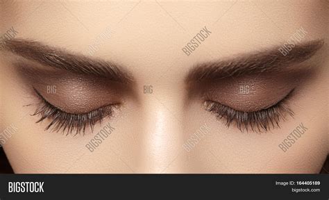 Beautiful Macro Shot Image & Photo (Free Trial) | Bigstock