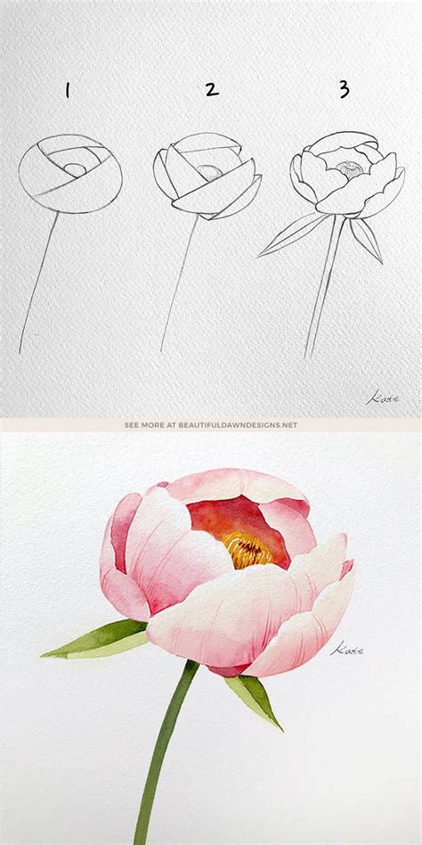 How To Draw A Flower Step By Step With Pictures