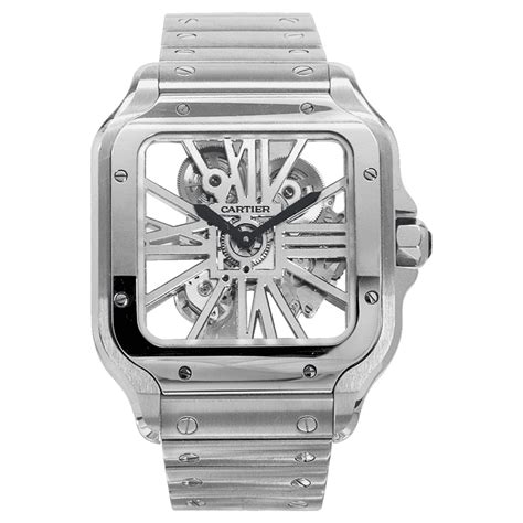 Cartier Santos Skeleton Steel | seeds.yonsei.ac.kr