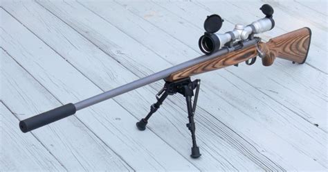 3 Best 22 Hornet Rifles - eatingthewild.com