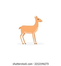 Antelope Springbok Logo Template Wild Animal Stock Vector (Royalty Free ...