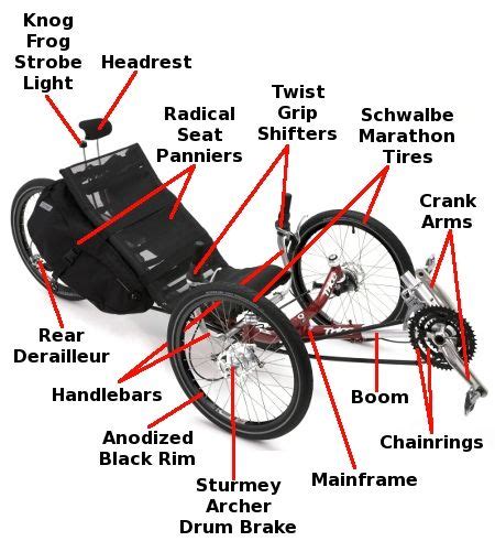 Anatomy | Recumbent bicycle, Custom bikes, Trike