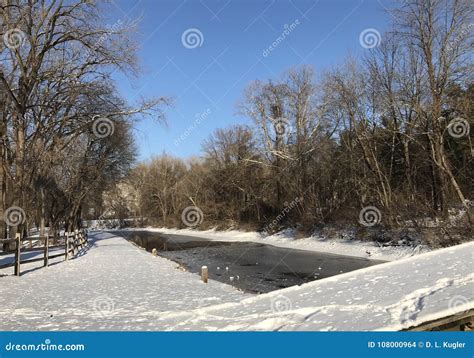 Snowy Canal Path on a Sunny Winter Day Stock Photo - Image of frozen, tree: 108000964