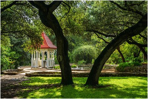 Cathy & Ron's Gallery: Austin's Botanic Garden