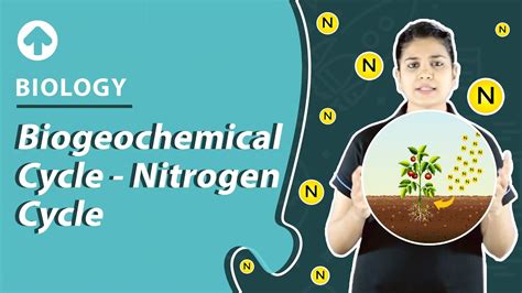 Biogeochemical Cycle - Nitrogen Cycle | Biology - YouTube