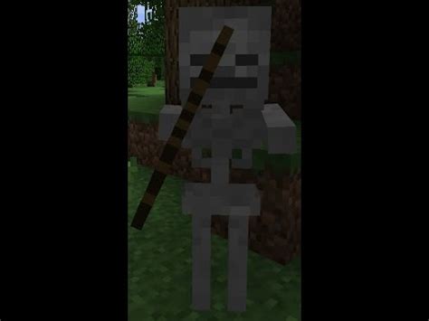 Minecraft- Skeleton sounds 1 hour - YouTube